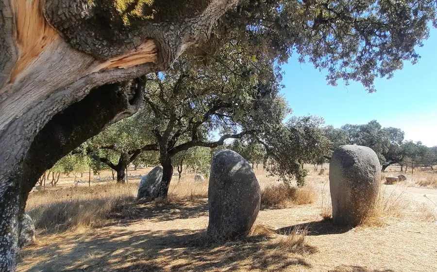 Évora and Megaliths Full-Day Tour from Lisbon