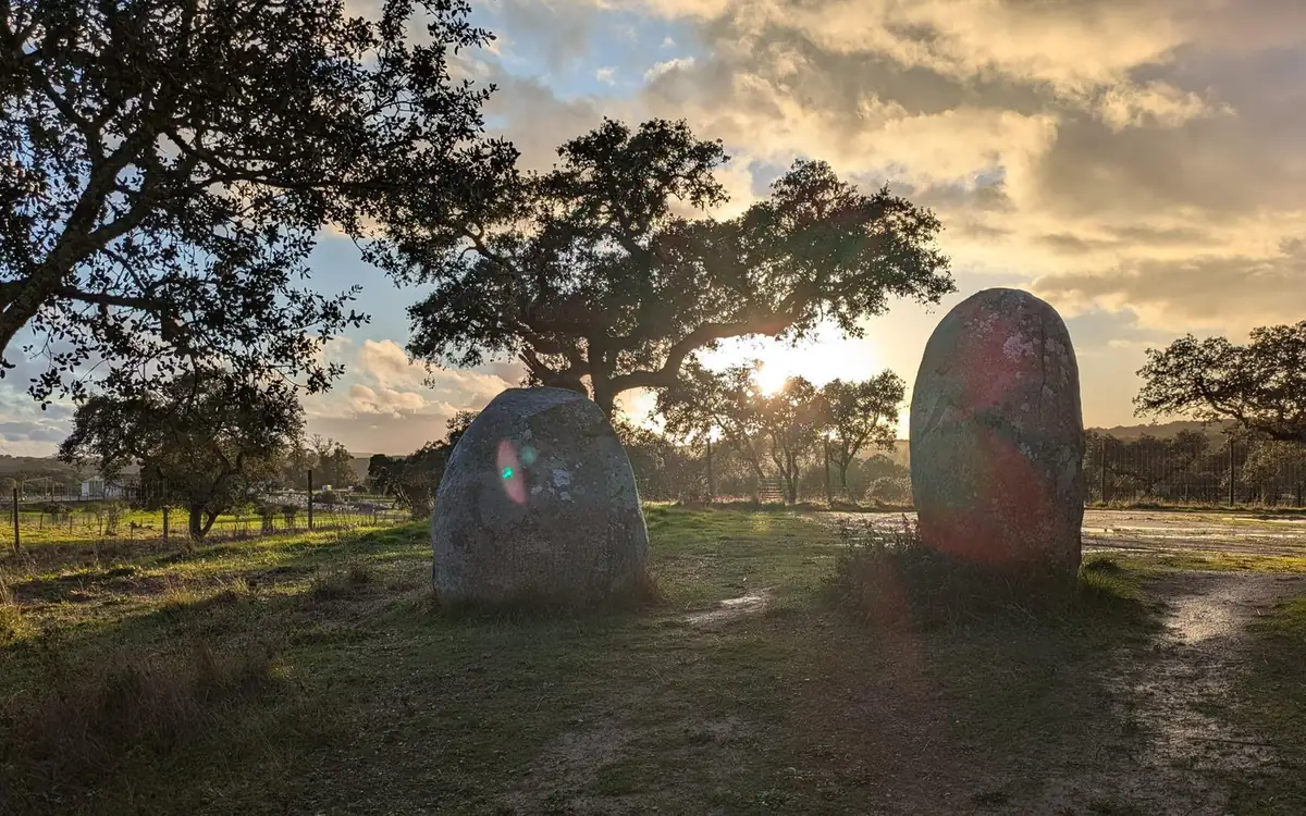 Two rounded standing stones in a grassy field between oak trees, backlit by a low sun